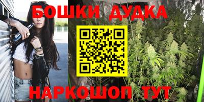 индика Беслан