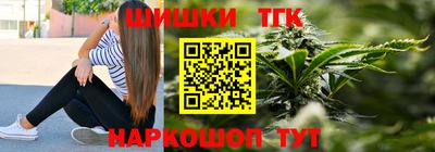 индика Беслан