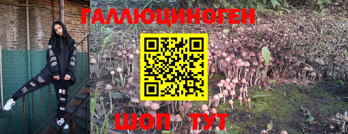 Зеленодольск  Псилоцибиновые грибы Psilocybe  Вход с VPN  Псилоцибиновые грибы Cubensis 